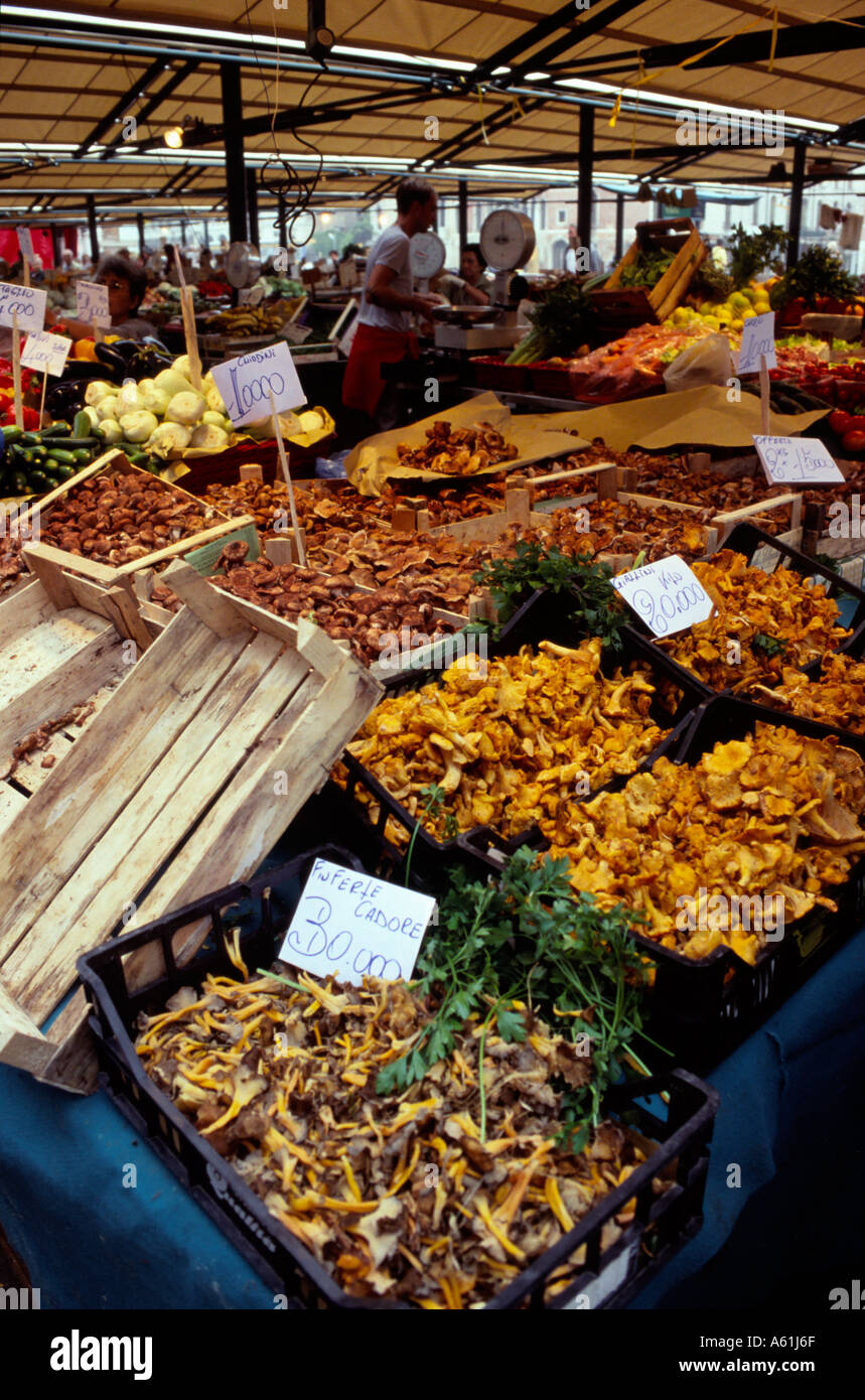 Chiodini champignons sur l'affichage à un marché en plein air. Venise, Italie Banque D'Images