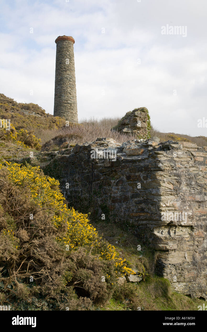 Cornish tin mine reste à Trevallas Coombe Banque D'Images