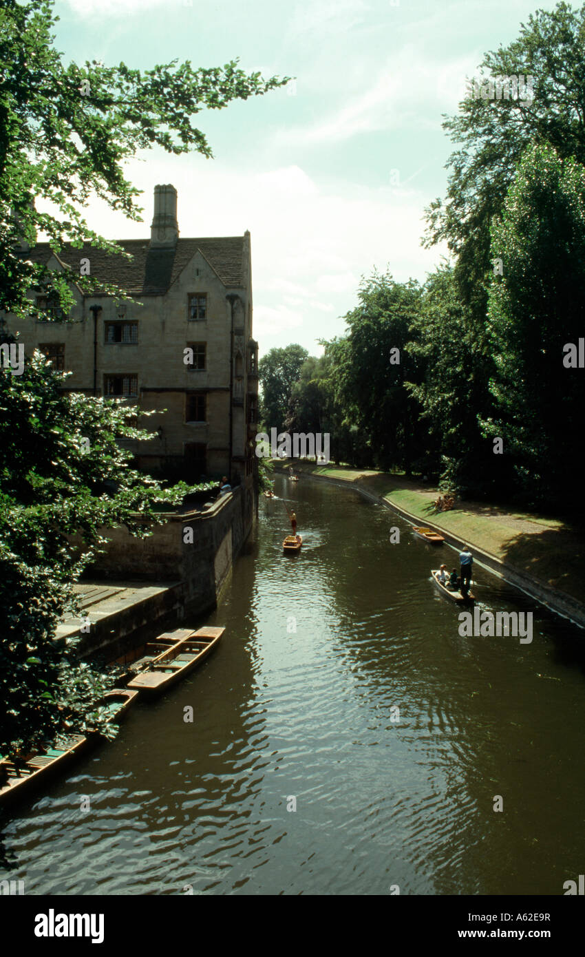 Cambridge, Parklandschaft, suis King's College Banque D'Images