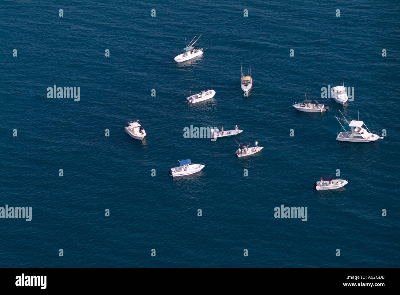 Un groupe d'embarcations sur un lieu de pêche populaire en Floride Banque D'Images