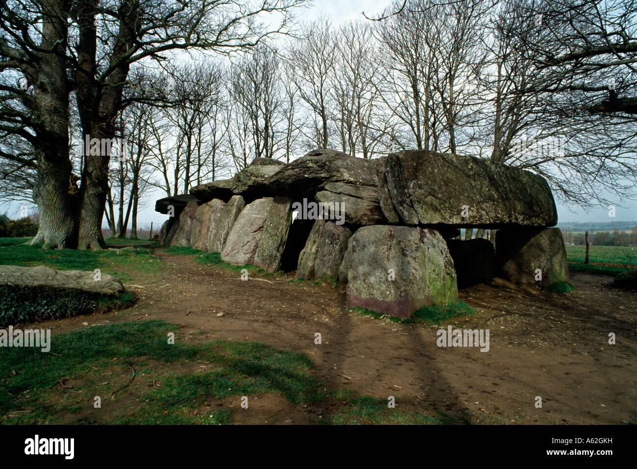 Essé (Ille-et-Vilaine), Dolmen de La Roche-aux-Fées Banque D'Images