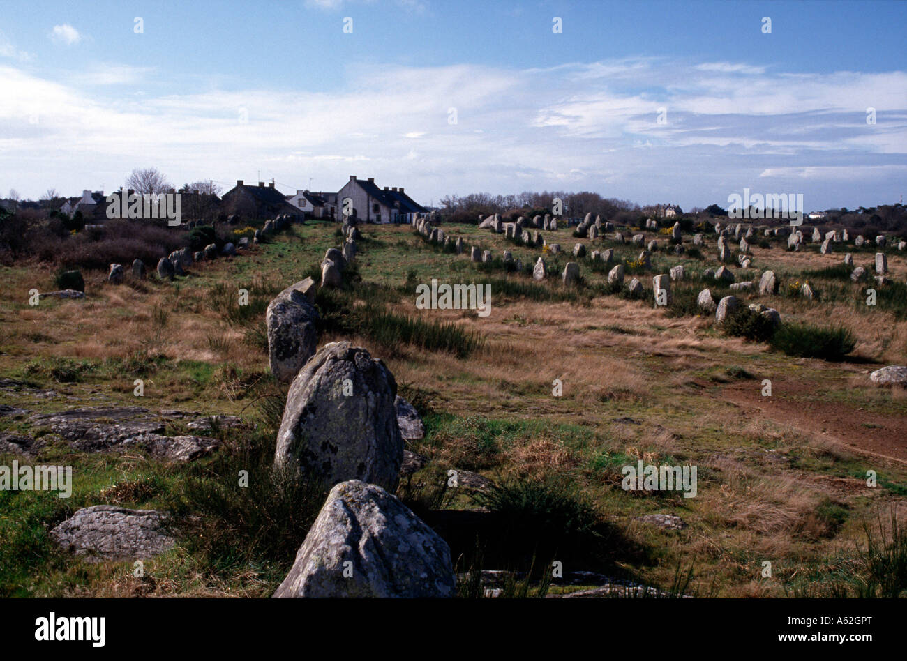 L'alignement de Carnac, le petit Ménec (Morbihan), 7 Reihen von insgesamt 101 Menhiren Banque D'Images