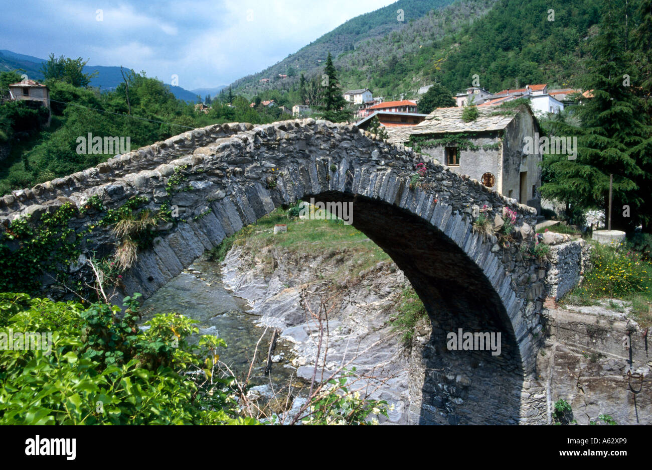 Arch pont sur rivière, Faune et flore du pays, Italie Banque D'Images