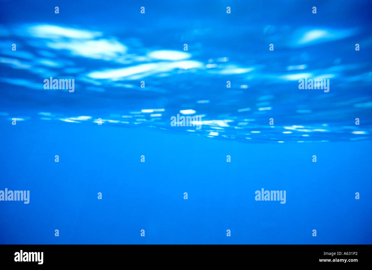 Close-up de surface de l'arrière-plan Banque D'Images