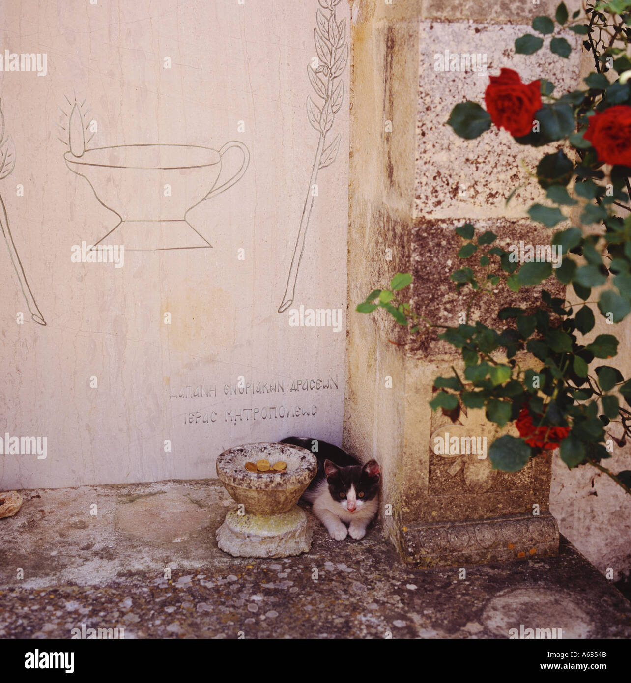 Jeune noir & blanc par collection tasse de pièces en coin de monastère Agiou Georgiou Zakynthos Island Les îles Grecques Banque D'Images