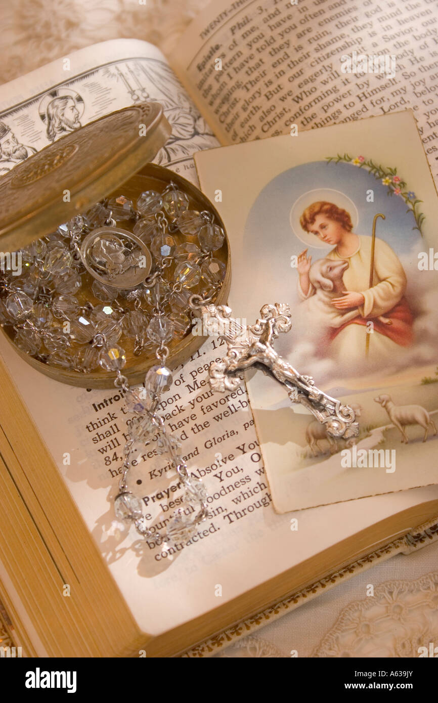 Modèle D'étude Orthodontique Avec Supports, Fils Et Chaînes - Pour Enseignement Dentaire