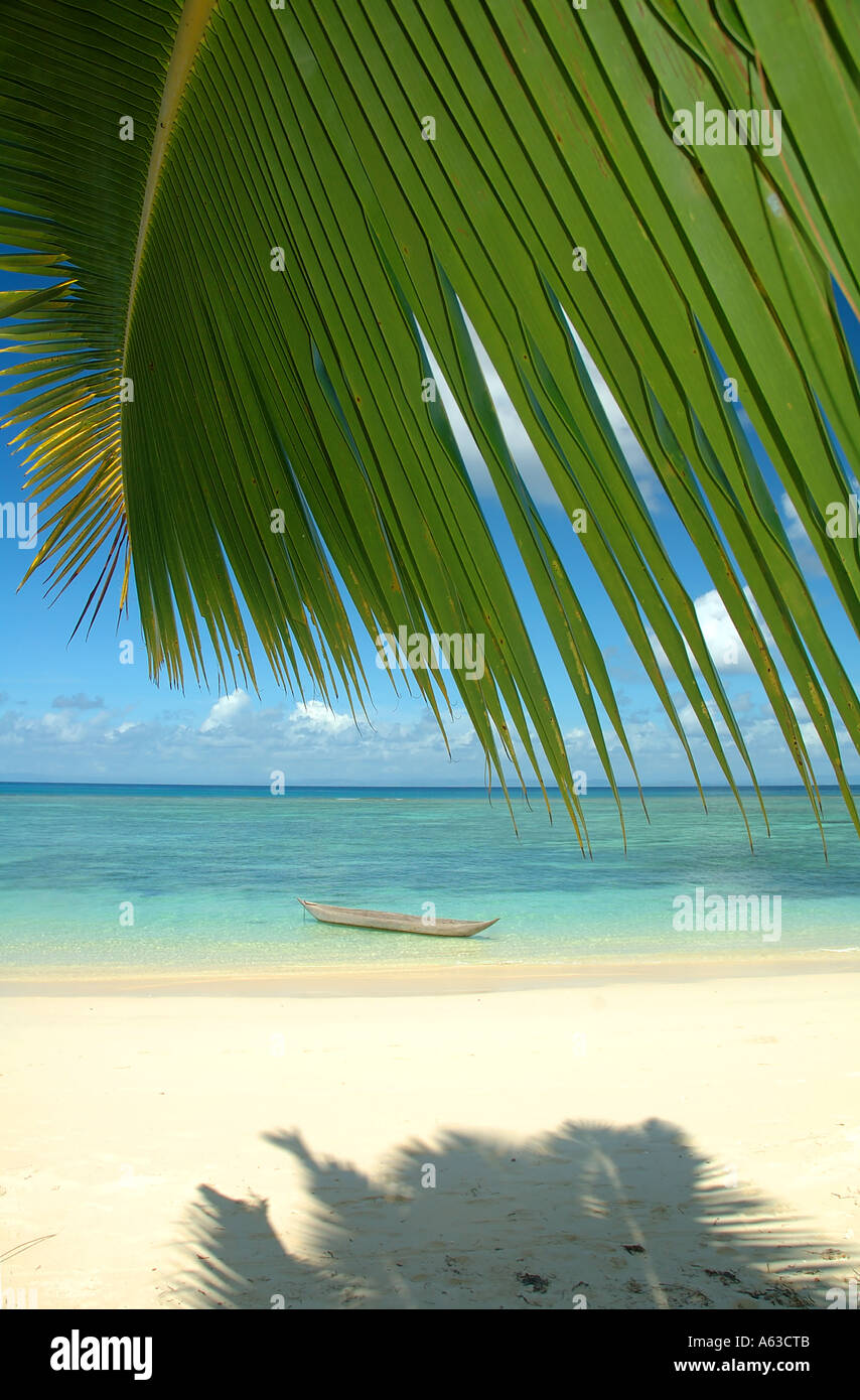 L'élégant pirogue plage tropicale bordée de palmiers Banque D'Images