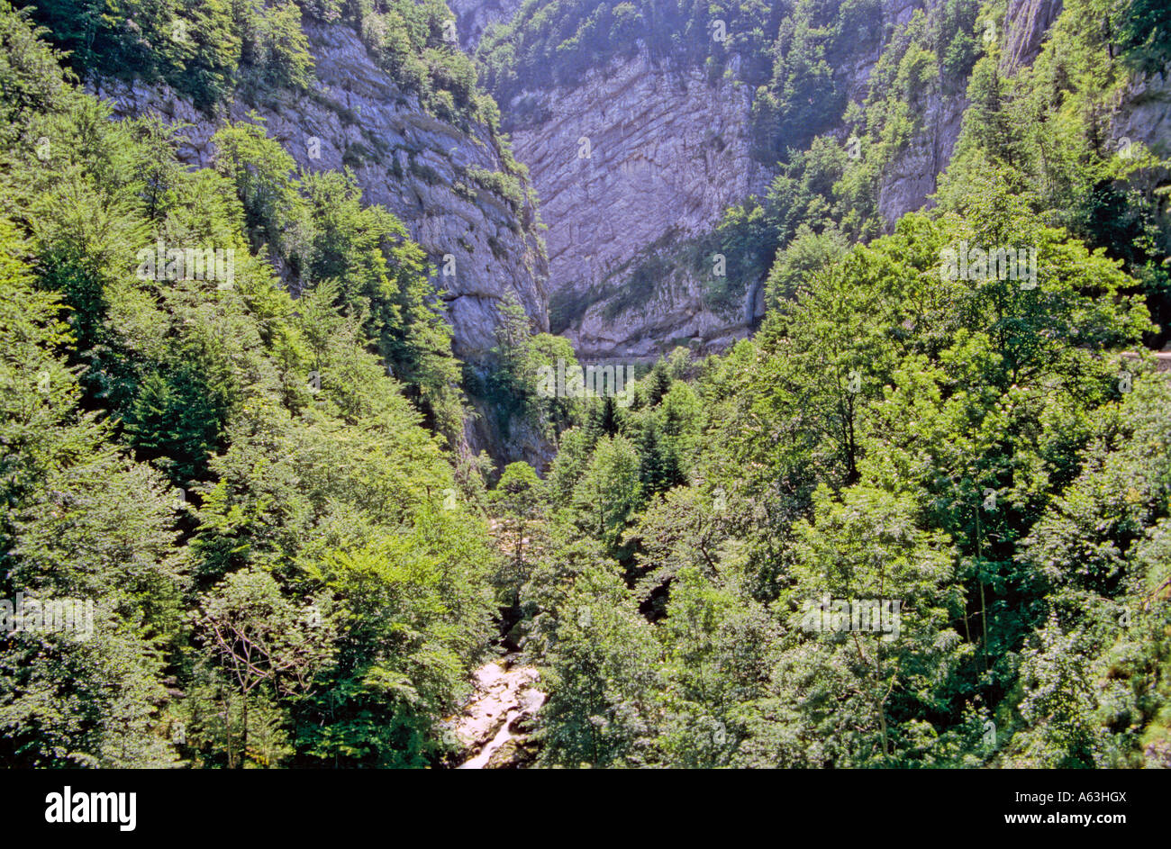 Grand goulets in vercors plateau Banque de photographies et d’images à