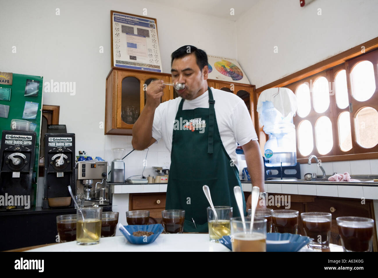 Dans le laboratoire de dégustation de café beneficio Solcafe une coopérative de commerce équitable Matagalpa Nicaragua Banque D'Images