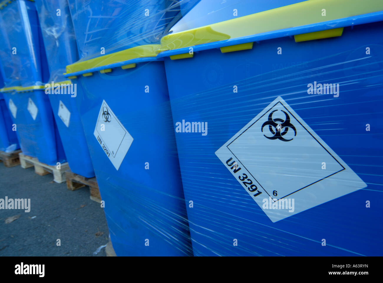 Danger biologique sur les conteneurs bleus. Banque D'Images