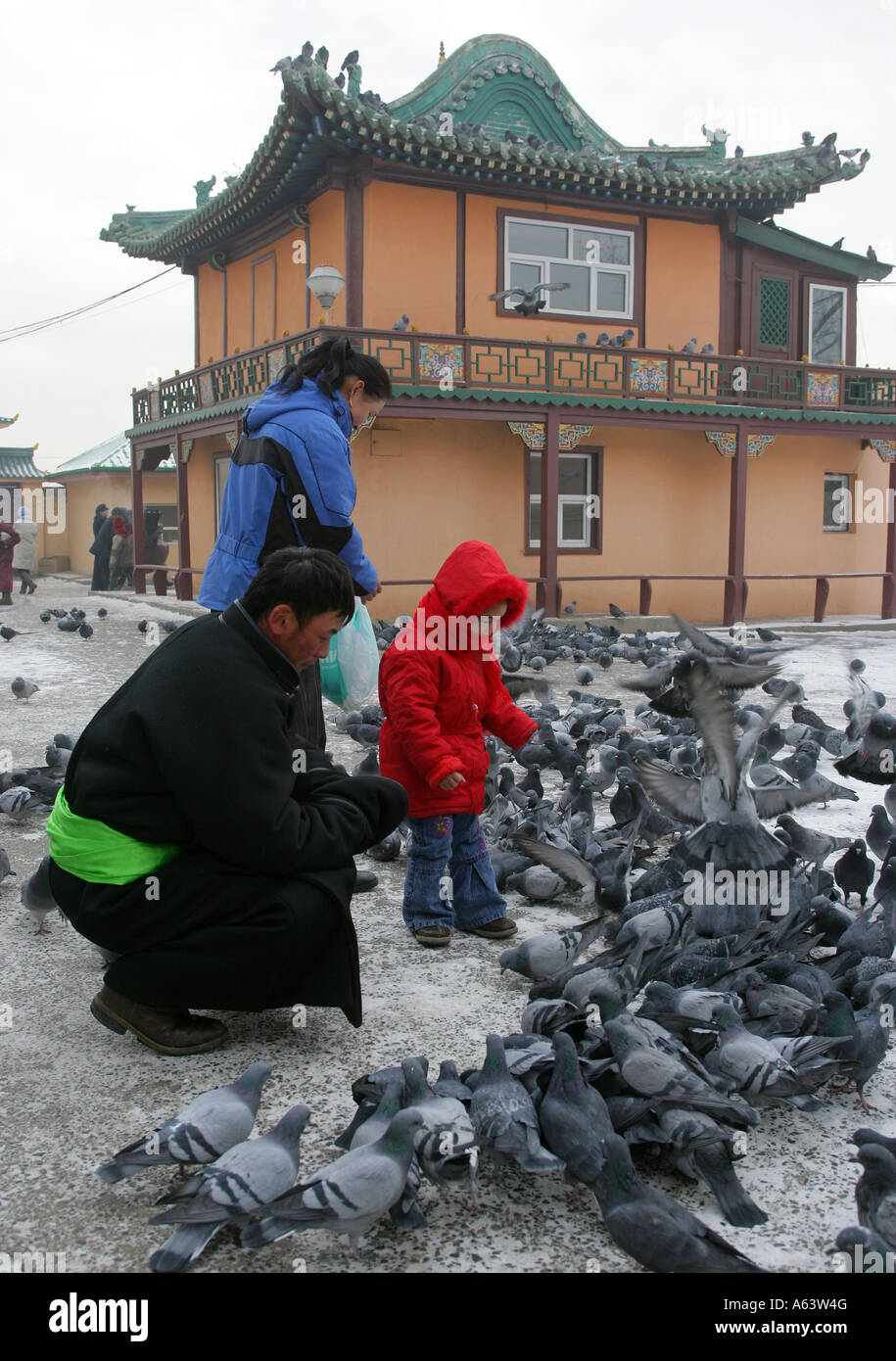 La Mongolie, le moine bouddhiste se nourrit les pigeons dans le monastère bouddhiste Gandantegchenling, Ulaan Bataar Banque D'Images
