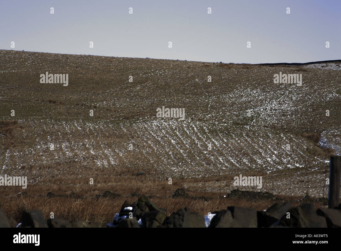 Sillon Ridge et souligné par la neige légère automne près de Tom Hill Pâturage Cheesden (suite..) Banque D'Images