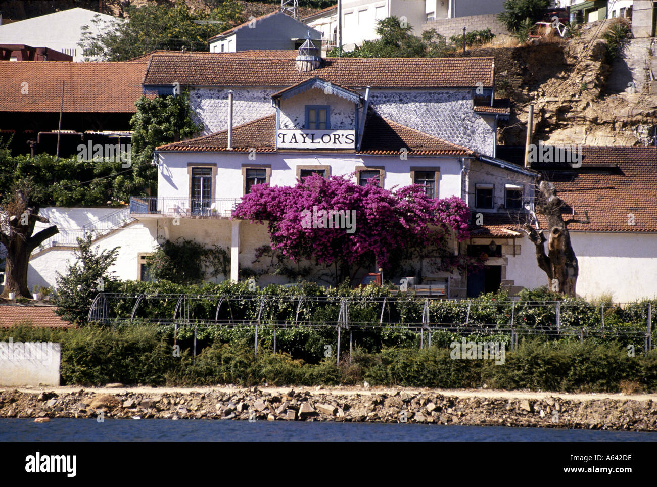 Entrée du port Taylors Estate en Pinhao Portugal Quinta Banque D'Images