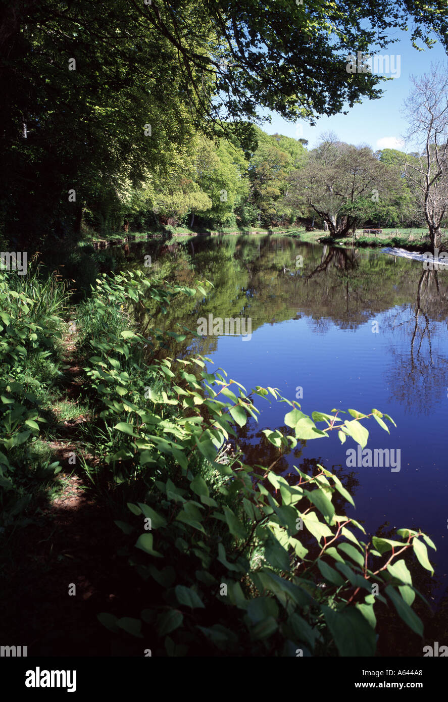 River Doon près d'Ayr en Écosse Banque D'Images