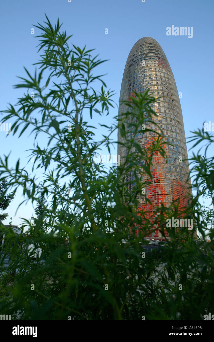 La TOUR AGBAR À BARCELONE ESPAGNE VILLE CONÇU PAR L'architecte français Jean Nouvel Banque D'Images