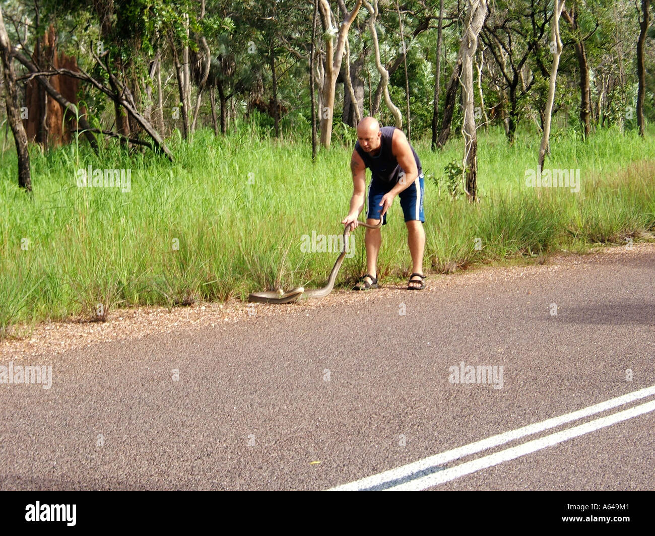 Guide de serpent le Kakadu National Park Australie Territoire du Nord Banque D'Images