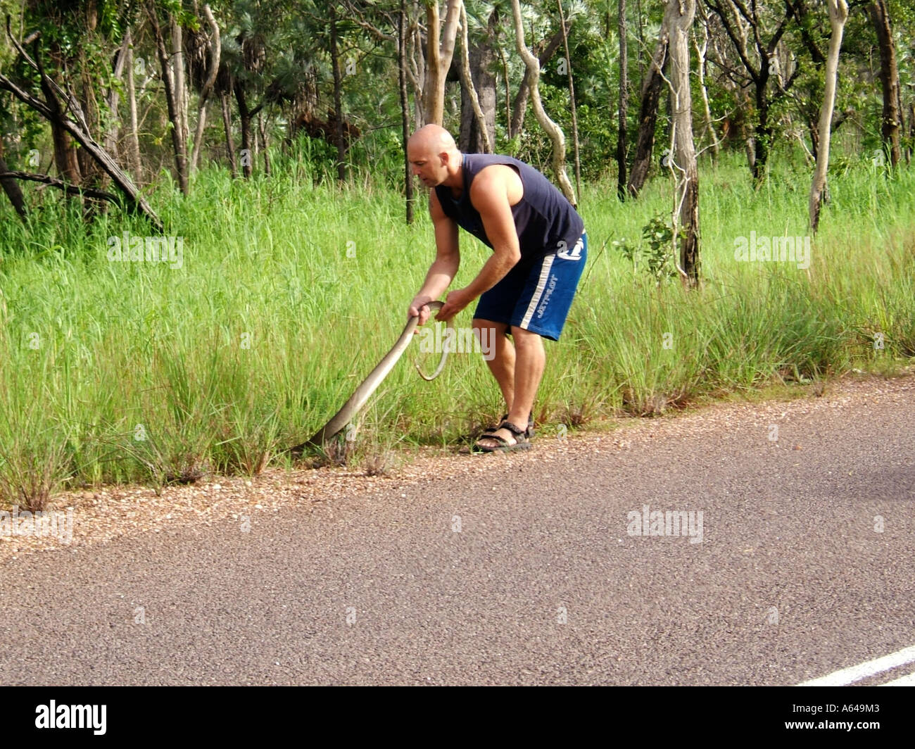 Guide de serpent le Kakadu National Park Australie Territoire du Nord Banque D'Images