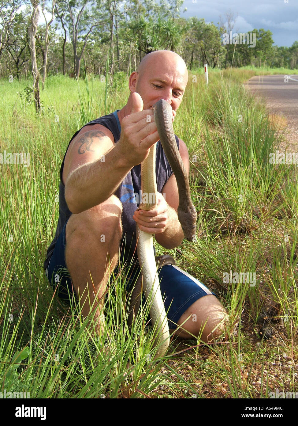 Guide de serpent le Kakadu National Park Australie Territoire du Nord Banque D'Images