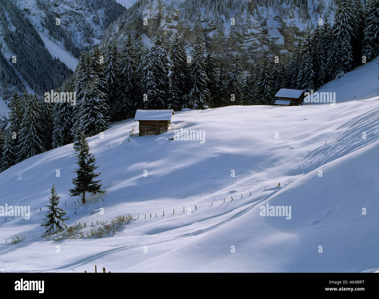 Les voies de skieurs dans powdersnow près du village de murren région de Highland bernoises alpes Suisse canton de Berne Suisse Banque D'Images