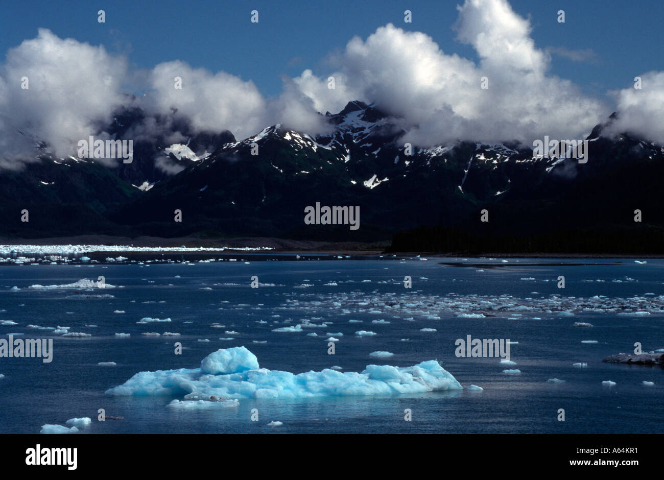 Des blocs de glace dans la baie du Prince William en Alaska USA Banque D'Images