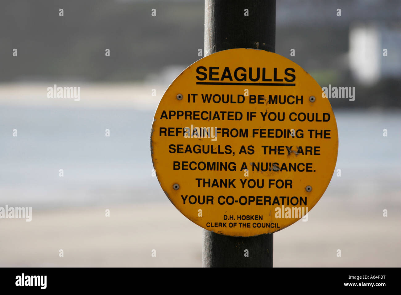 Veuillez ne pas nourrir les mouettes - se connecter à St Ives Harbour à Cornwall Banque D'Images