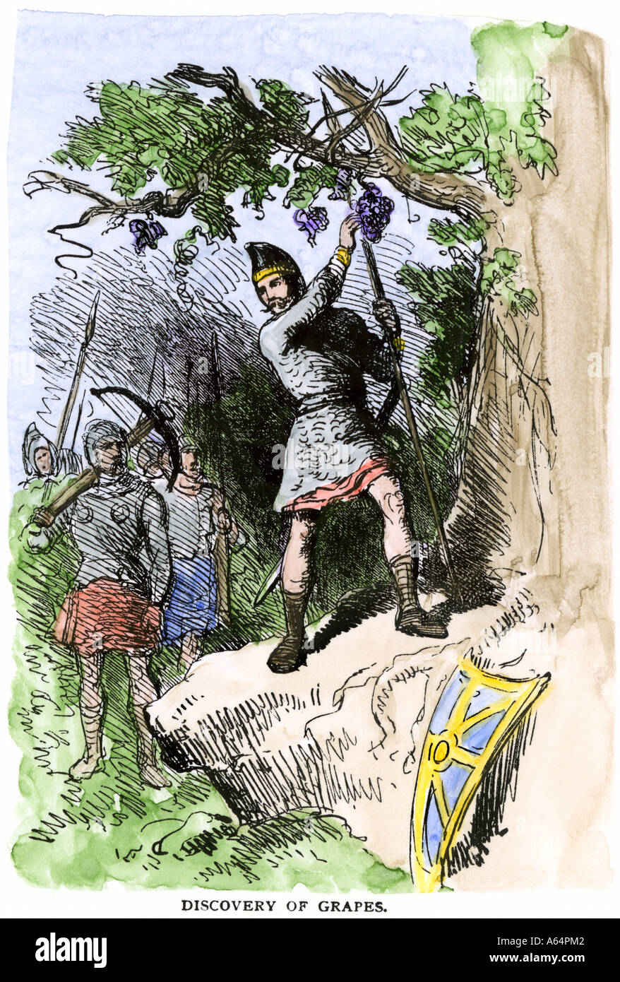 Découverte de raisins par Viking expédition menée par Leif Eriksson AD 1001 qui a nommé la nouvelle terre Vinland. À la main, gravure sur bois Banque D'Images