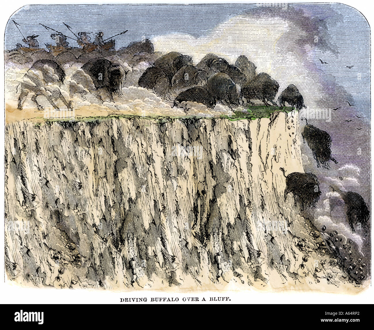 Troupeau de bisons chassés de la falaise par des chasseurs américains à cheval. À la main, gravure sur bois Banque D'Images