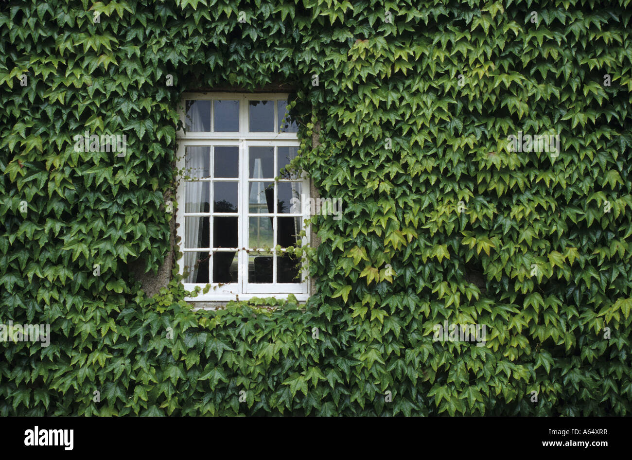 Pitmedden Garden, l'Aberdeenshire, en Écosse. Banque D'Images