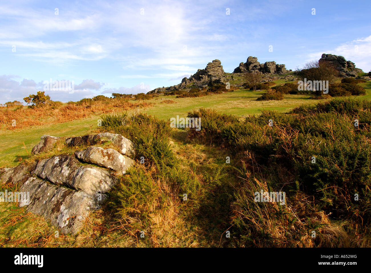 Avis de Hound Tor sur Dartmoor National Park Banque D'Images