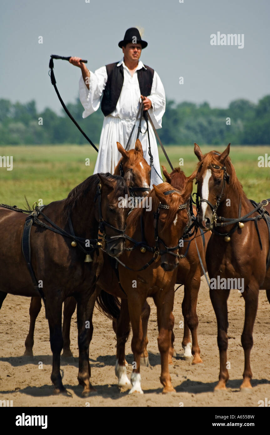 Horse Show Cowboy hongrois Banque D'Images