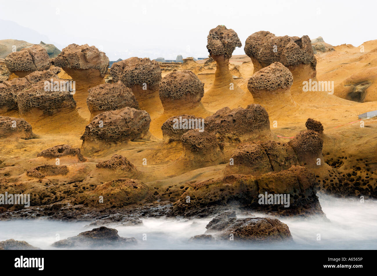 Yehliu est une péninsule sur la côte nord de Taïwan entre Taipei et Keelung c'est célèbre pour le coastal rock formations Banque D'Images