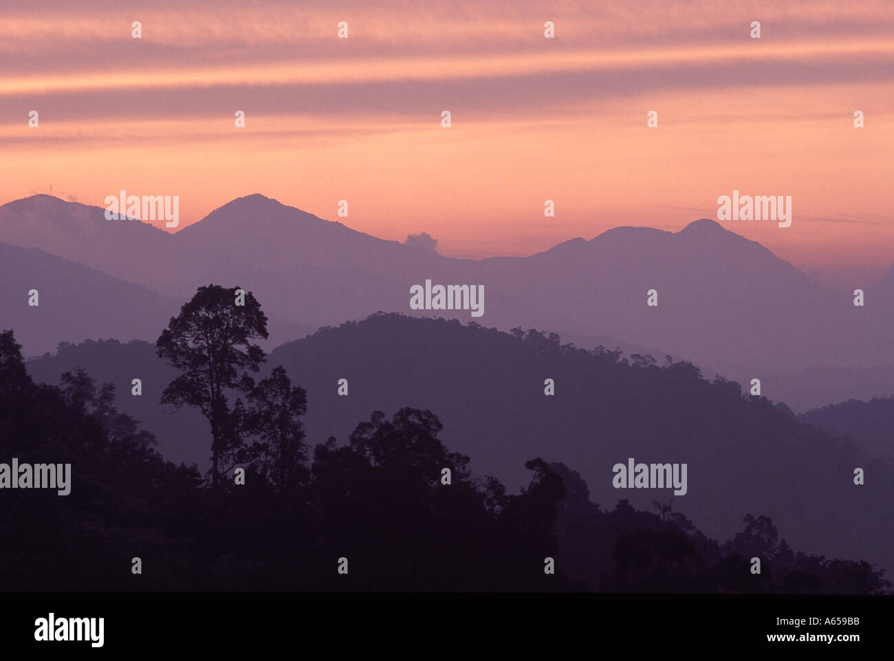 Les collines et les forêts tropicales au crépuscule près de Frasers Hill Malaisie Banque D'Images