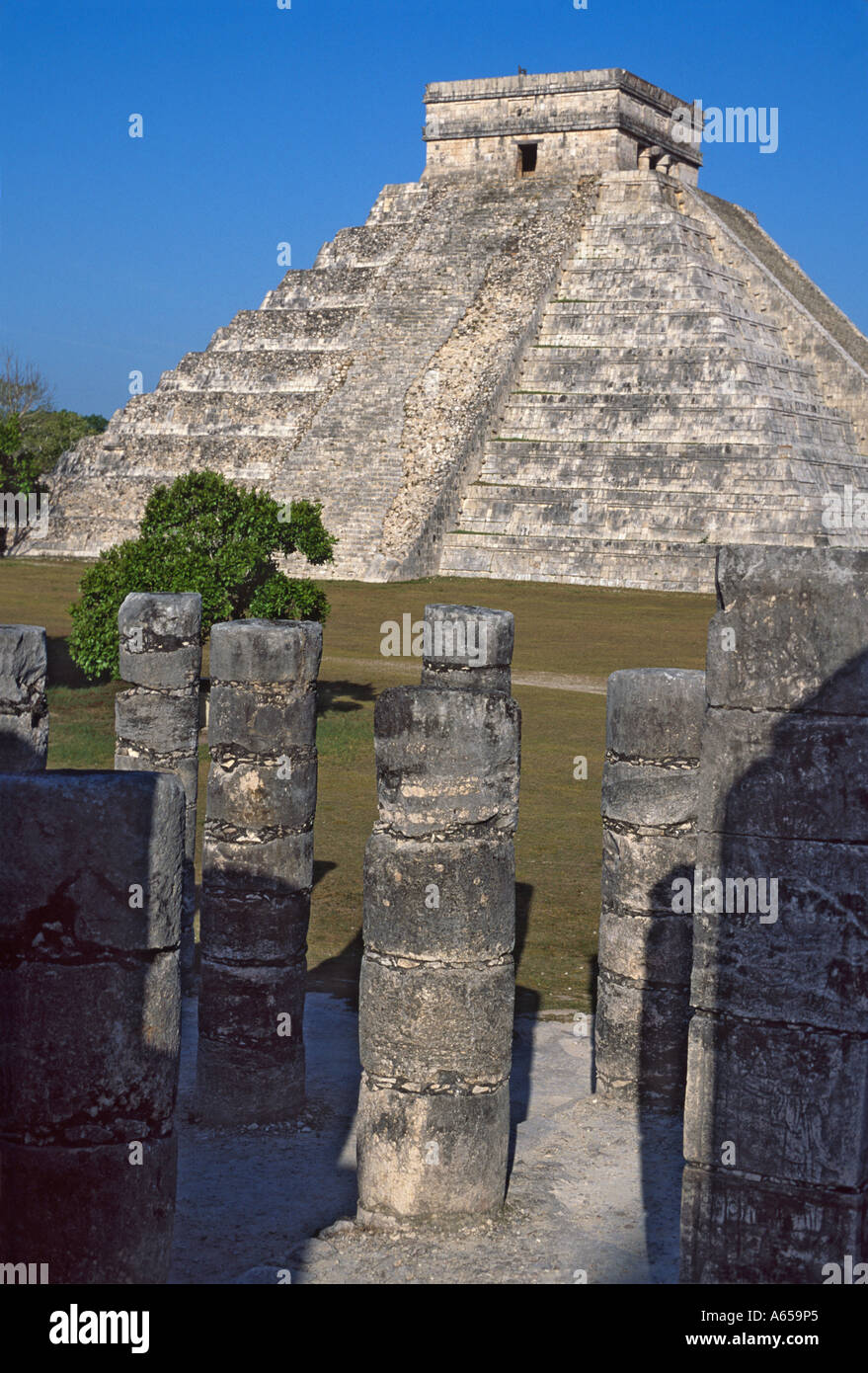 El Castillo, pyramide de Kukulcan temple maya à Chichen Itza, Yucatan, Mexique Banque D'Images