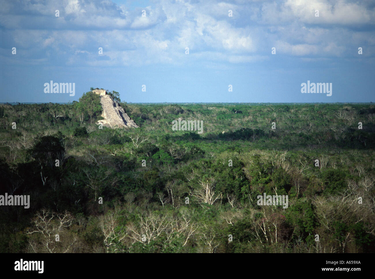 Pyramide maya ruine entourée par la forêt, ancienne ville de Cobá, péninsule du Yucatan, Mexique Banque D'Images
