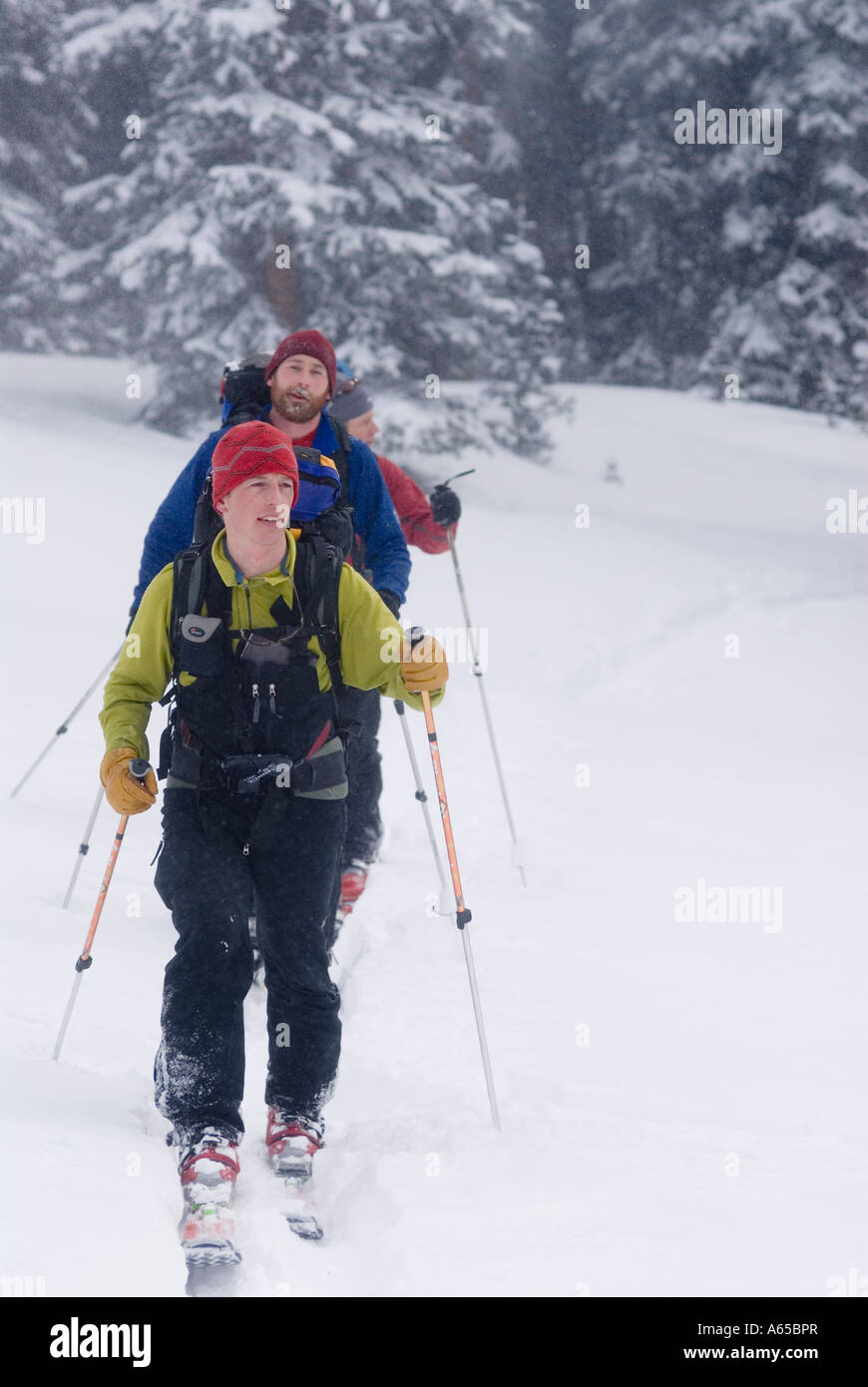 Trois skieurs ski randonnée dans l'arrière-pays, au Colorado Banque D'Images