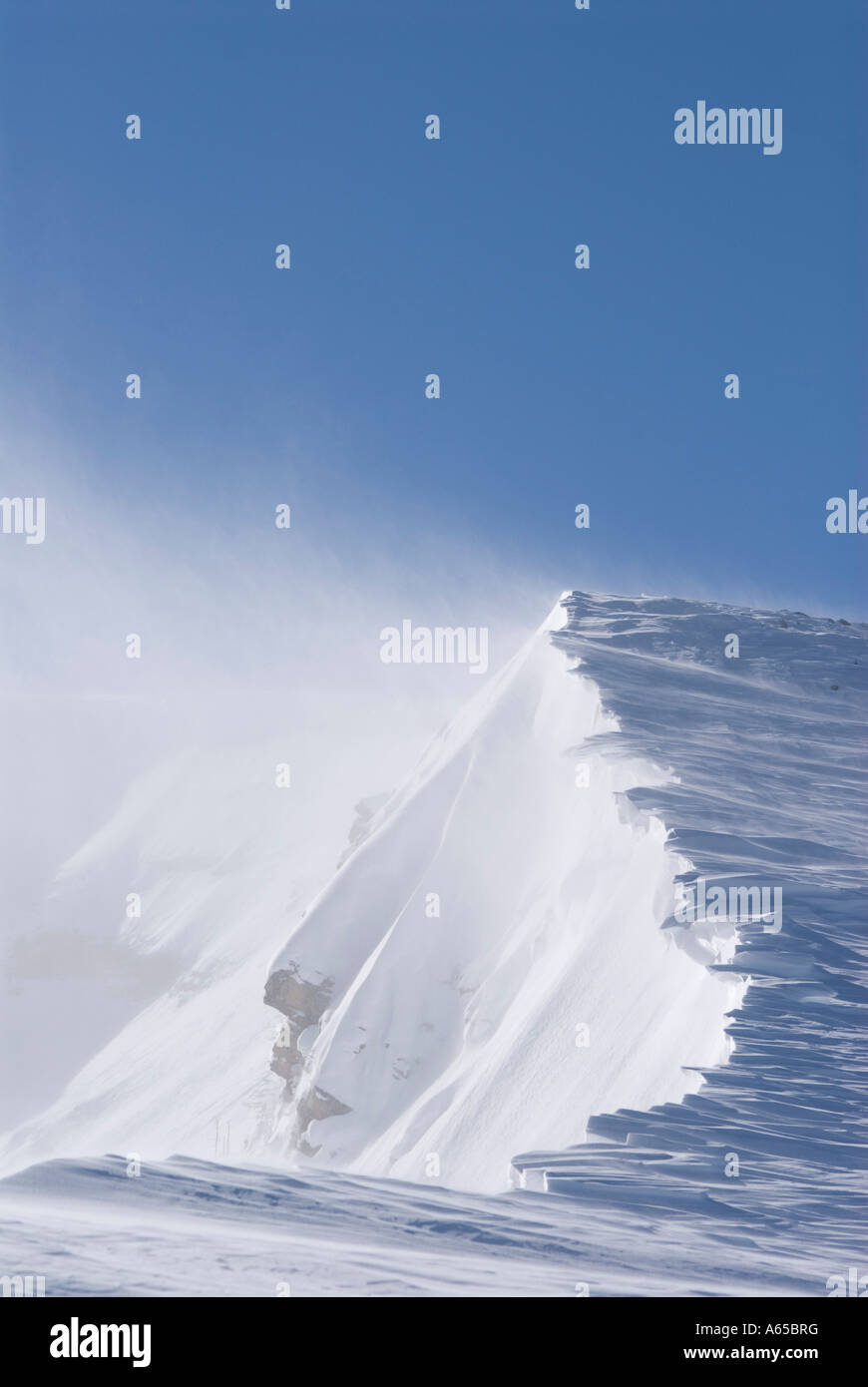 Crête de montagne balayées par les exposés sur New York Mountain, Colorado Banque D'Images