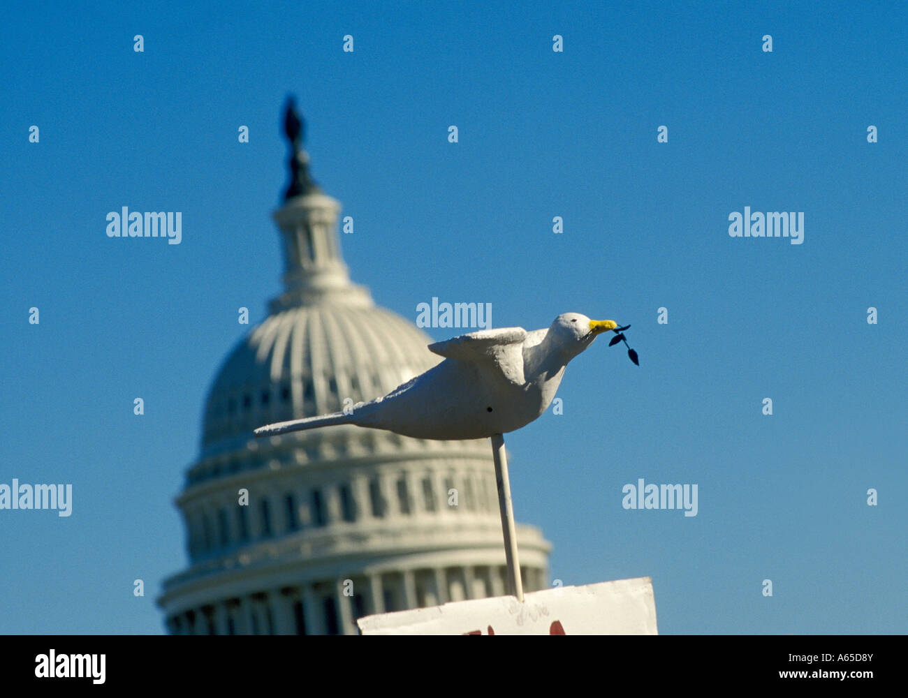 Manifestation anti-guerre à Washington Banque D'Images