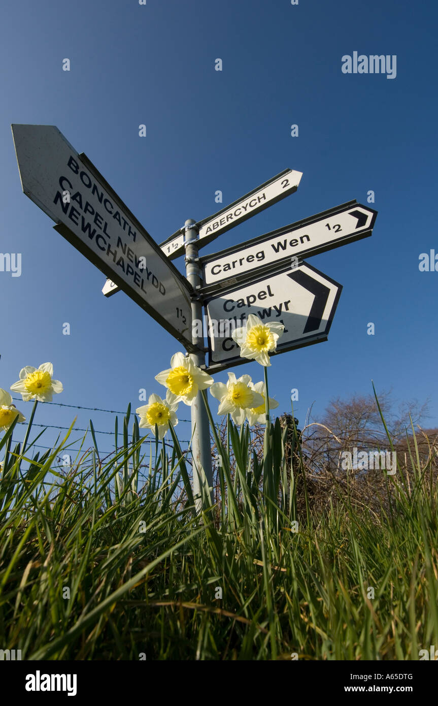 Les noms de village gallois sur la signalisation routière au carrefour près de cenarth ceredigion Pays de Galles UK Banque D'Images