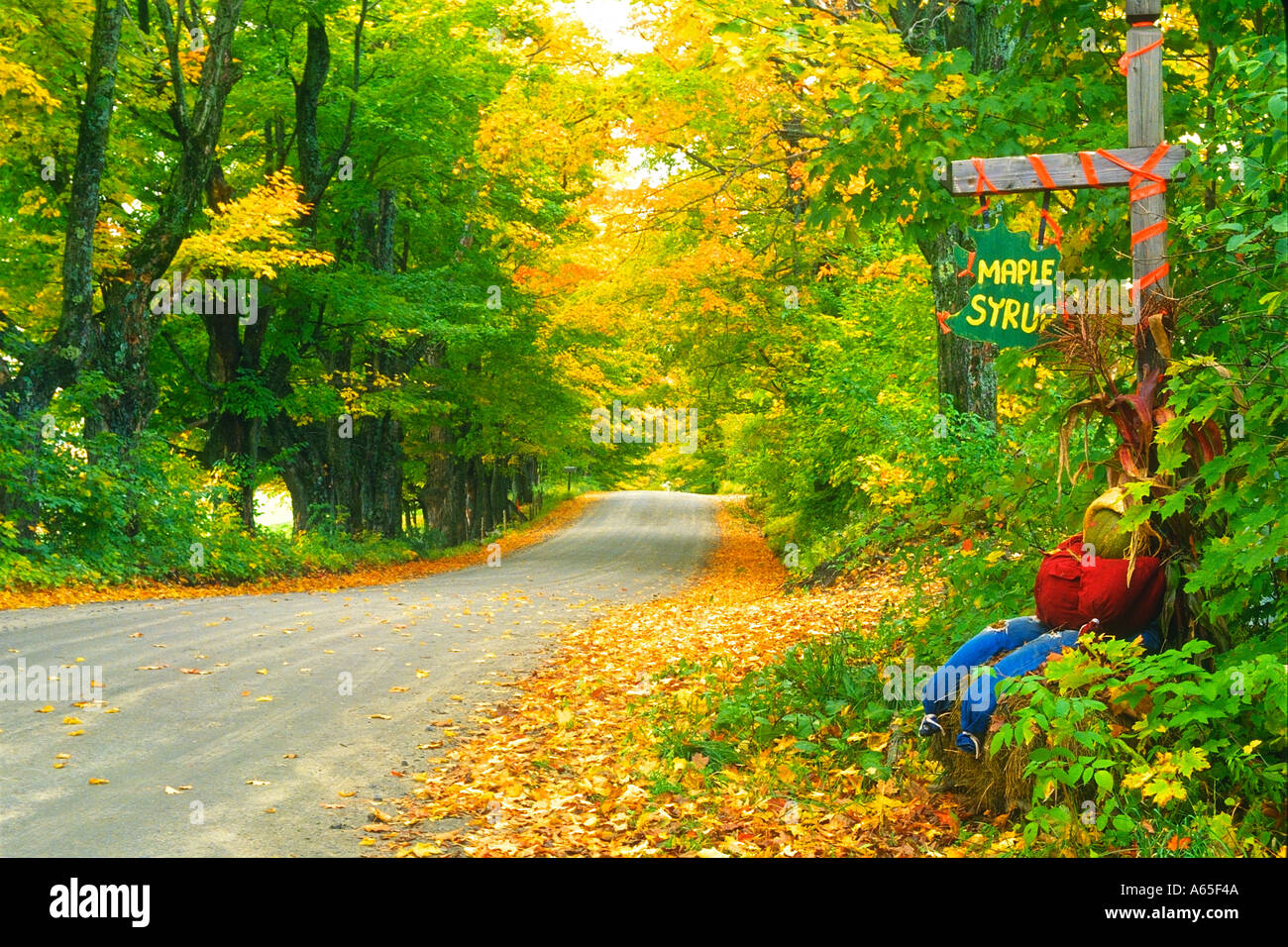 Route arrière pays et feuillage d'automne Banque D'Images