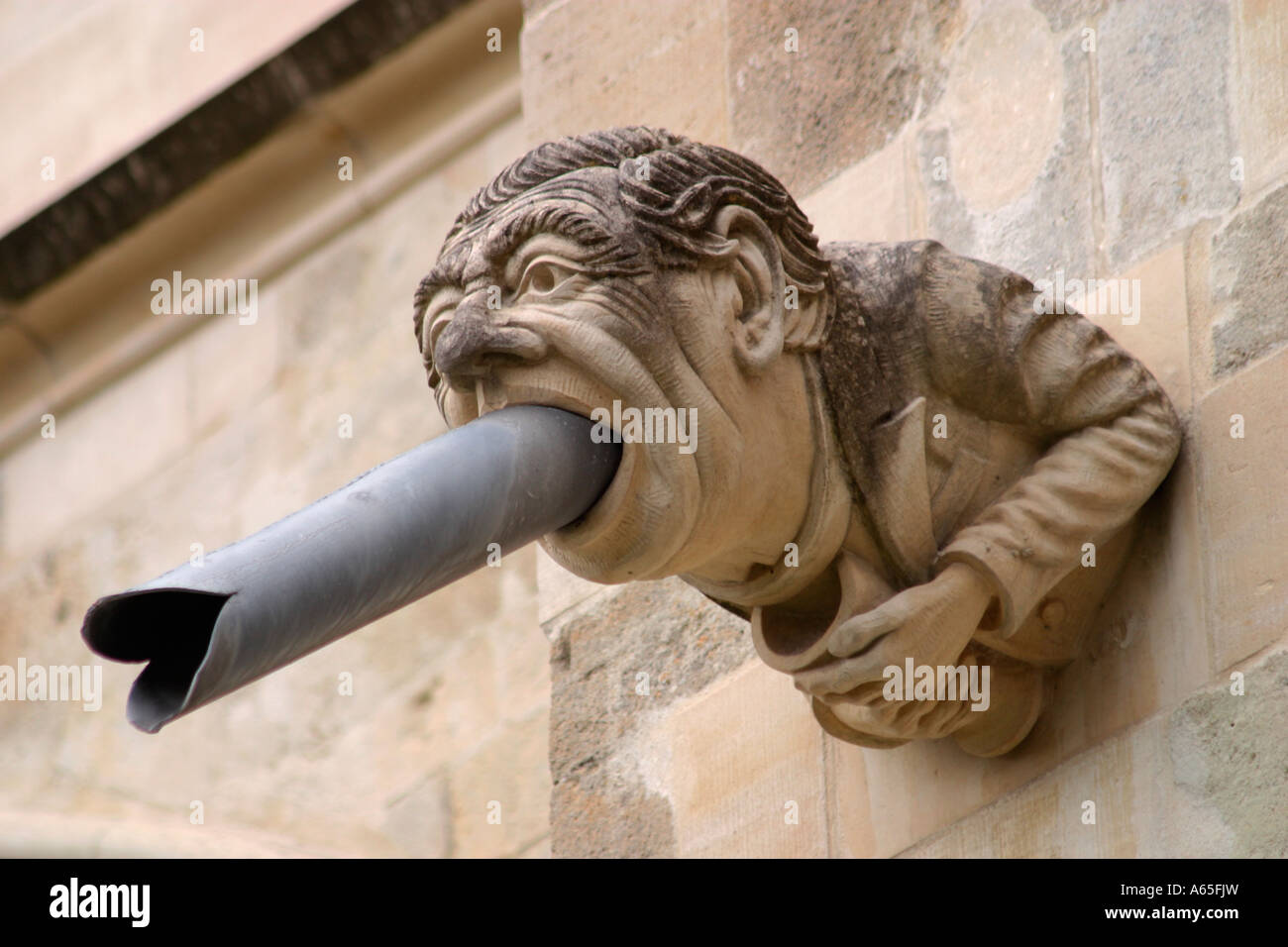 Gargoyle ou à la Cathédrale de Chichester grotesque à l'image de John Treadgold, ancien doyen de Chichester, Sussex, UK Banque D'Images