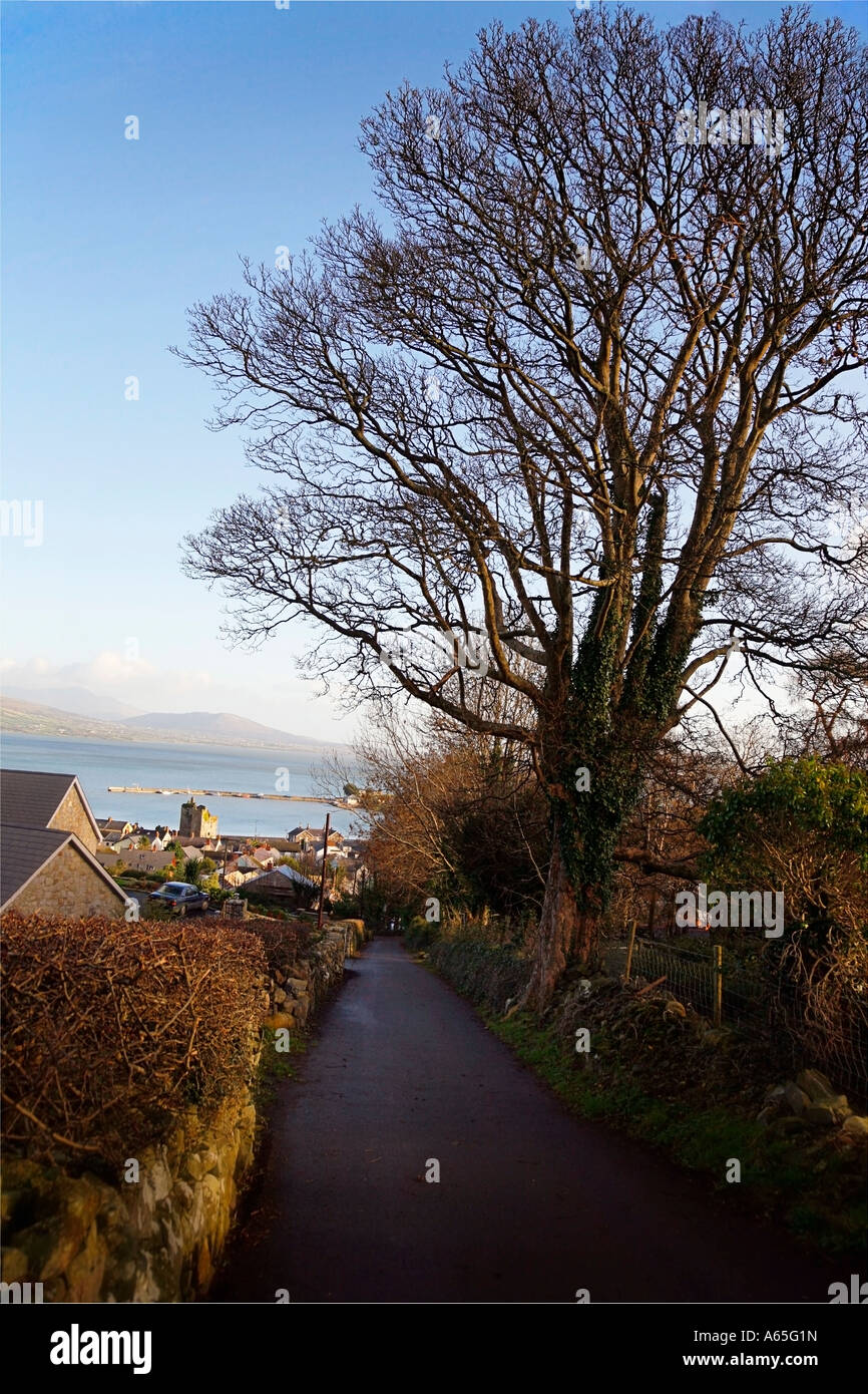 Vue Carlingford Banque D'Images