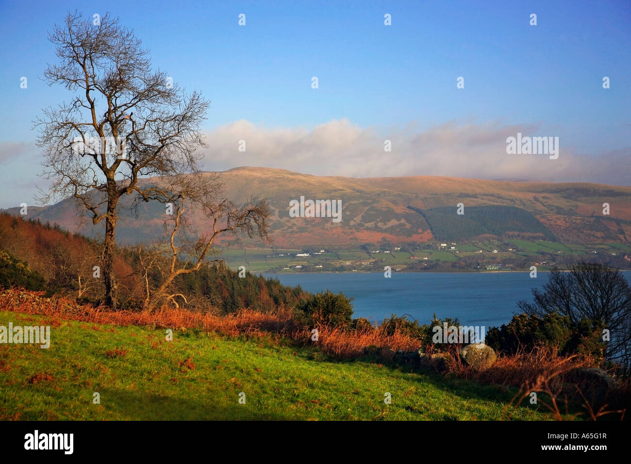 Carlingford Loch Banque D'Images