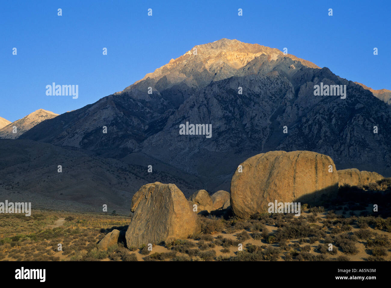La lumière du matin sur Mt. Tom et rochers dans la région de babeurre, près de l'évêque est de la Sierra, EN CALIFORNIE Banque D'Images