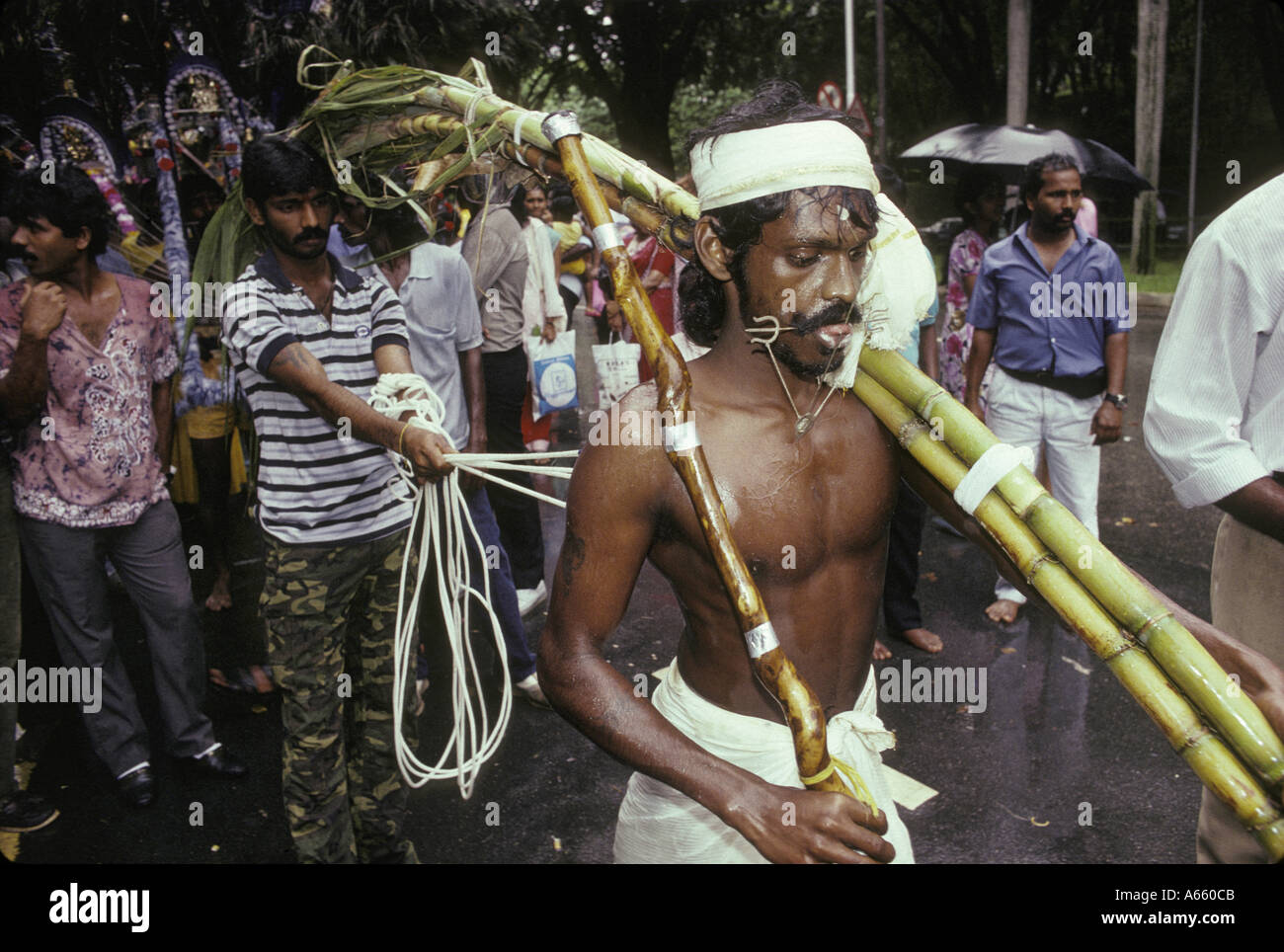 Thaipusam fête hindoue dans les rues de Singapour Les hommes montrent leur foi en perçant leur corps avec des crochets et pointes Banque D'Images