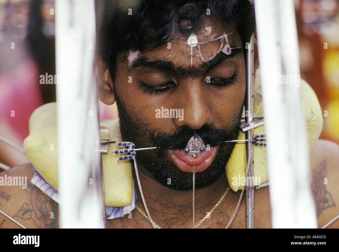 Thaipusam fête hindoue dans les rues de Singapour Les hommes montrent leur foi en perçant leur corps avec des crochets et pointes Banque D'Images