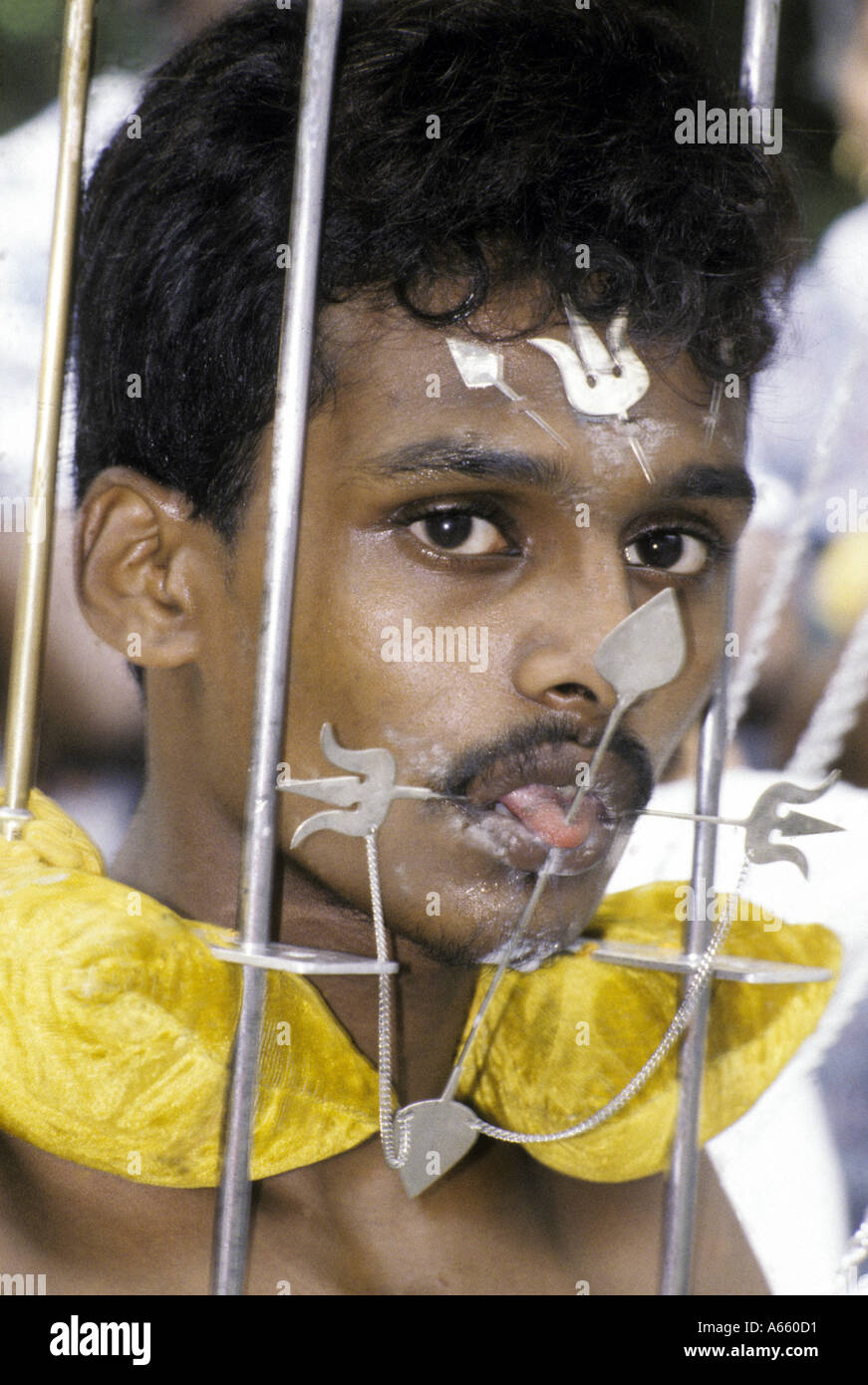 Thaipusam fête hindoue dans les rues de Singapour Les hommes montrent leur foi en perçant leur corps avec des crochets et pointes Banque D'Images