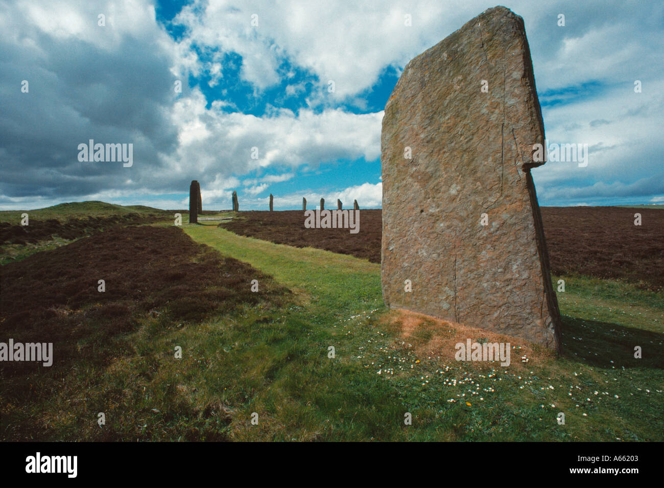 Comité permanent des pierres sur l'anneau de Brogar Orkney Islands du nord de l'Écosse Banque D'Images