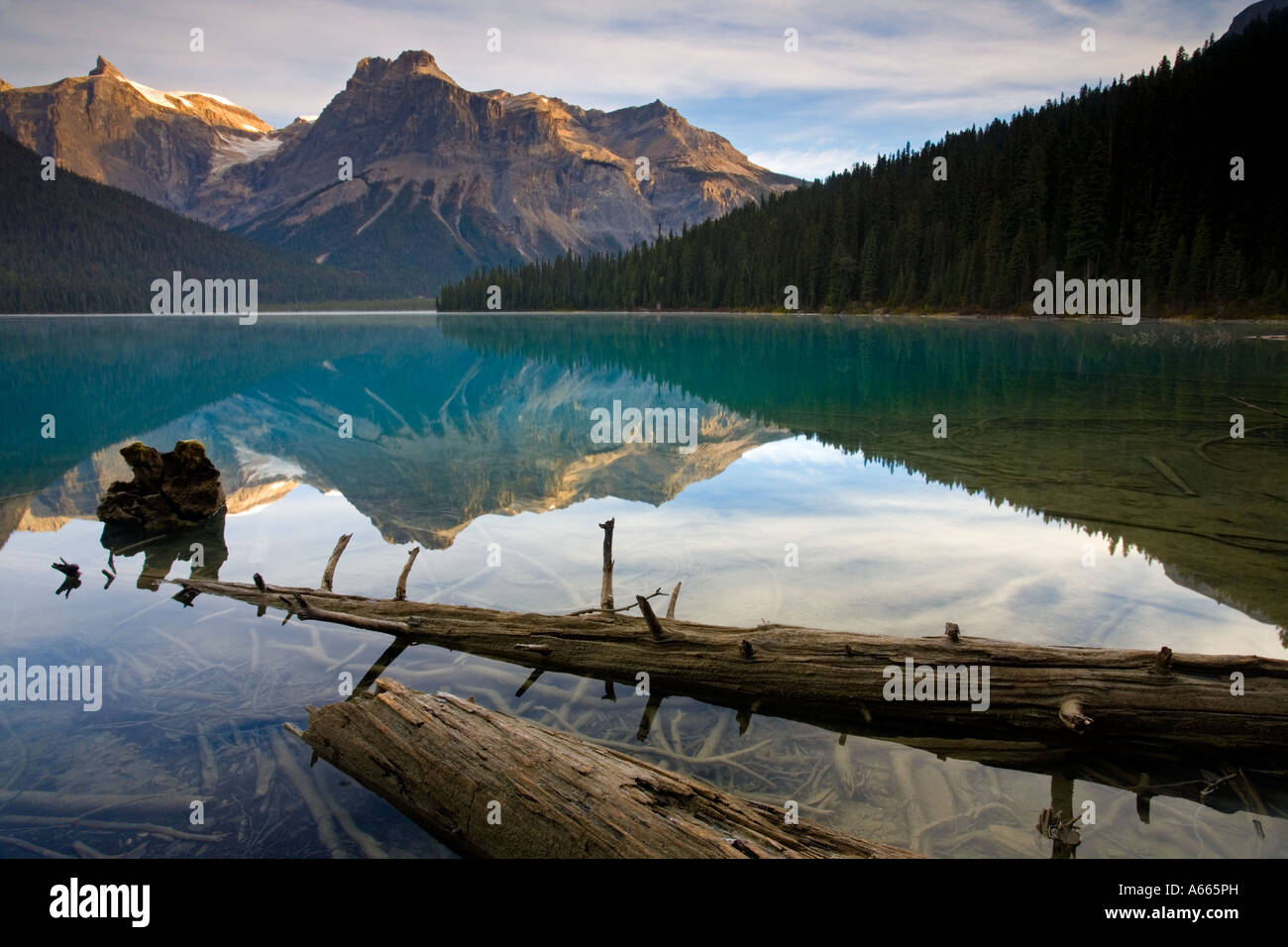 Réflexions à Emerald Lake Banque D'Images