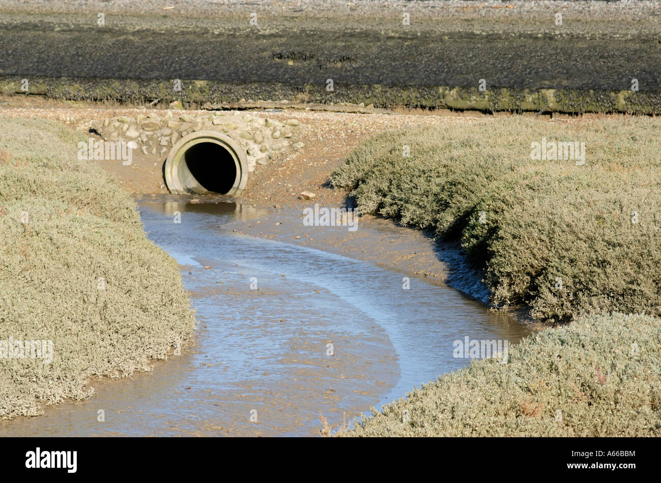 Un fossé de drainage et de l'entremise d'une banque dans le marais salant par la rivière Rother Banque D'Images