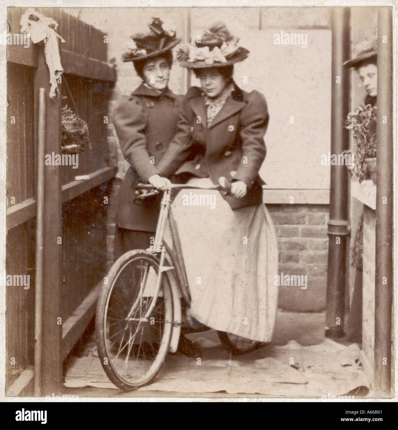 1890 Lady Cyclist Banque D'Images